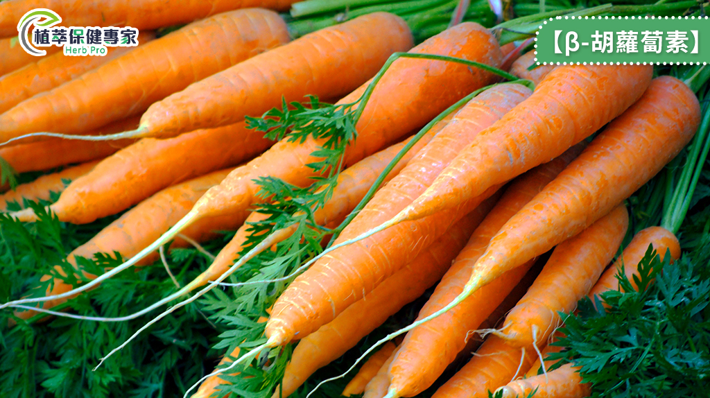 β-胡蘿蔔素不僅護膚、顧眼睛 更具超強抗氧化力協助對抗自由基