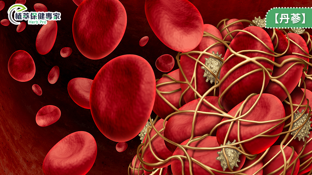 預防血栓可吃這4種成分！ 有效促進新陳代謝　還能降低血液濃度