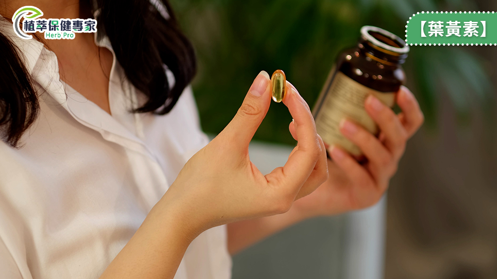 葉黃素何時吃最有效？研究數據揭開葉黃素功效與吸收率的真相，告訴你正確吃法！