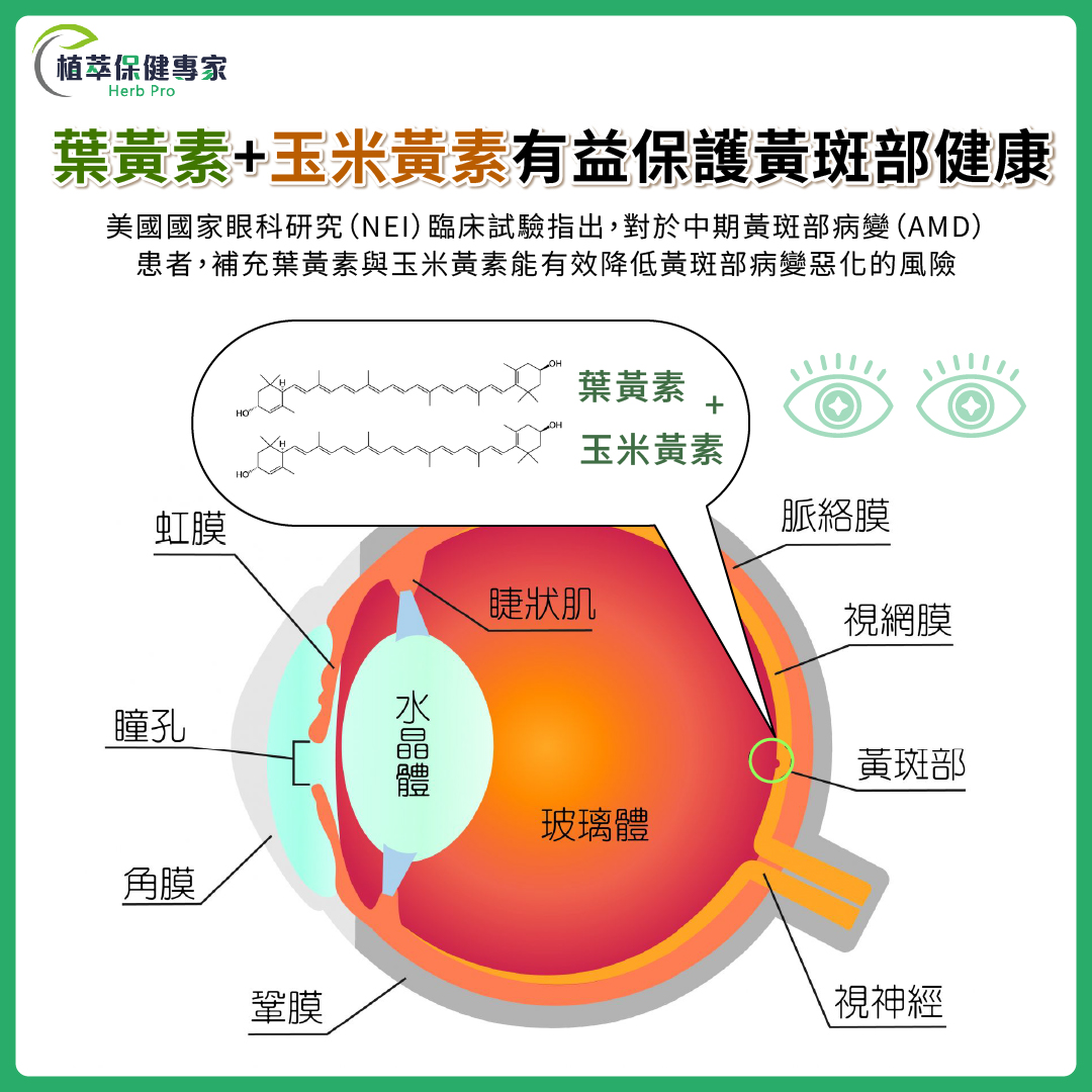 葉黃素玉米黃素