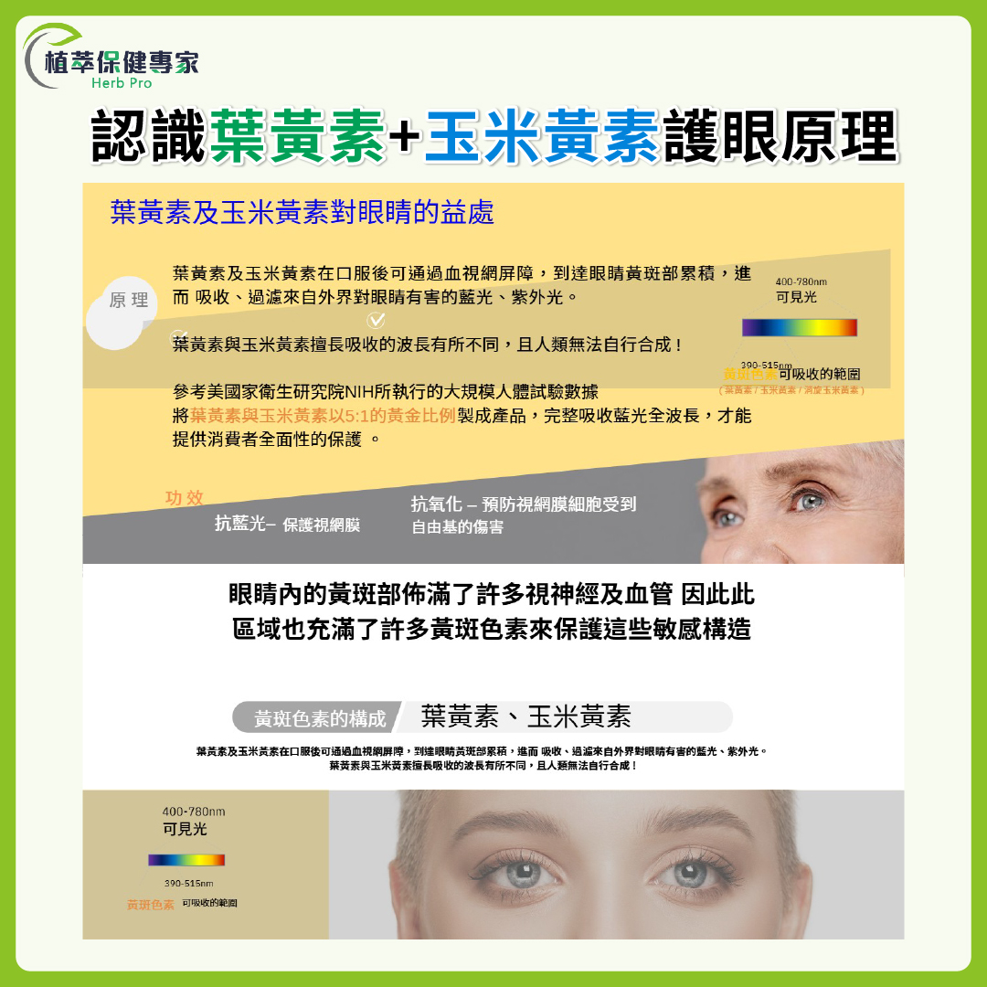 葉黃素玉米黃素