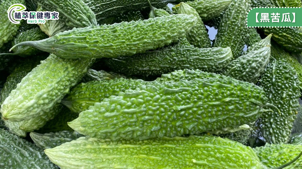 黑苦瓜功效大揭密：黑苦瓜好處、黑苦瓜降血糖證據與黑苦瓜禁忌副作用解析