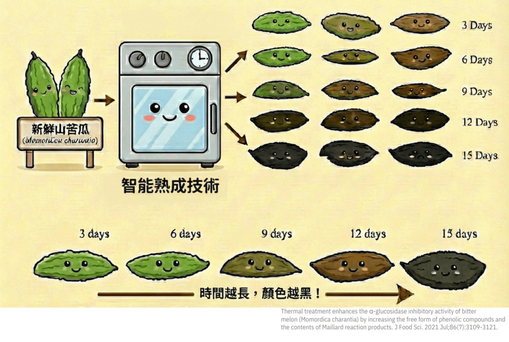 黑苦瓜製成熟成技術